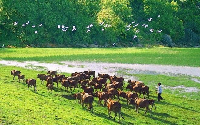 Lam Dat Hotel Ниньбинь Экстерьер фото